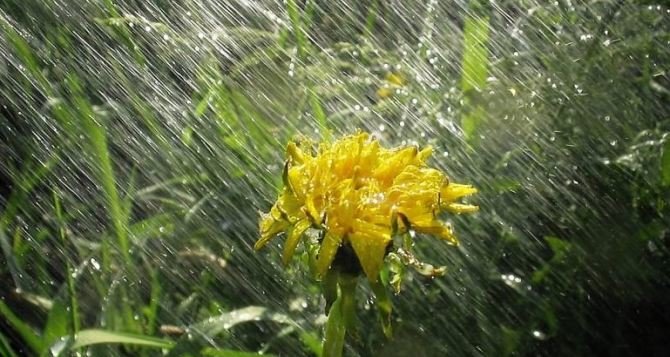 ����: inalmaty.kz