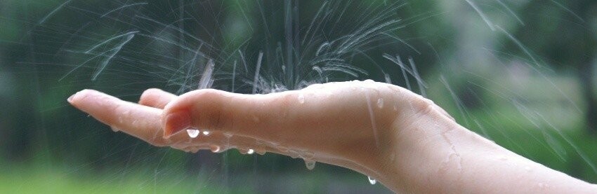 ����: inalmaty.kz