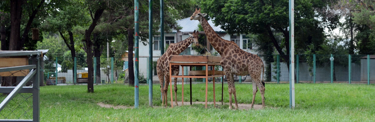  ����� ��������� ������ �������� ������ ��������� ������������ �������� 