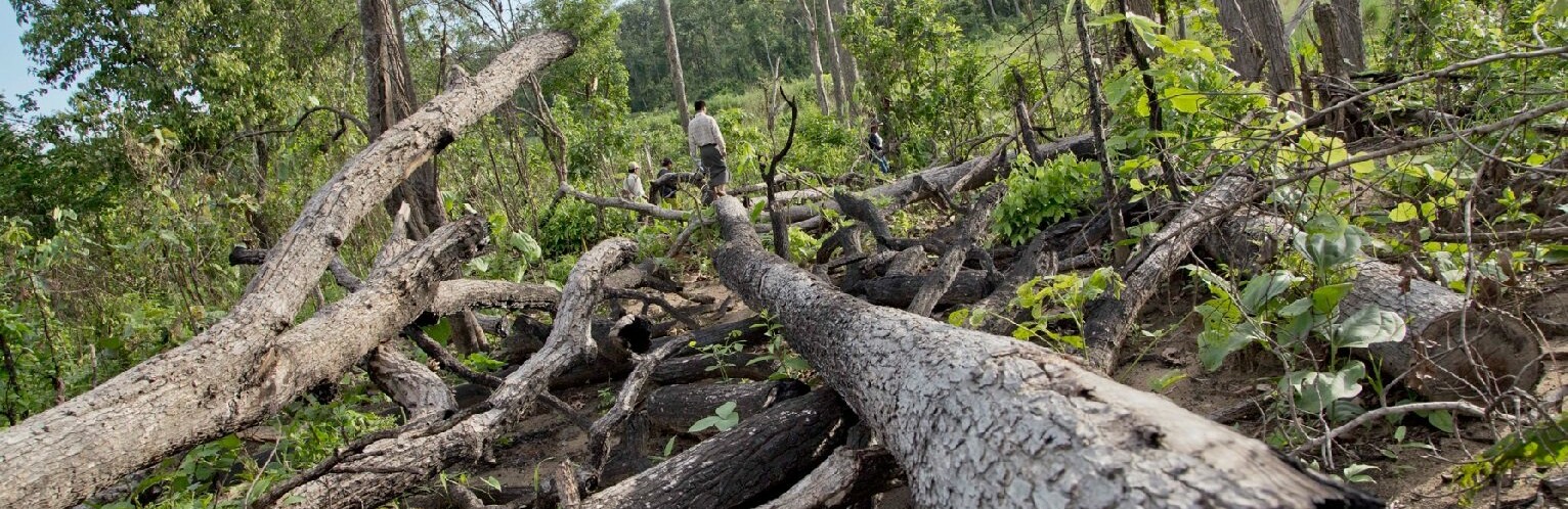 ����� 2000 �������� ������� � ����������� ������ ������