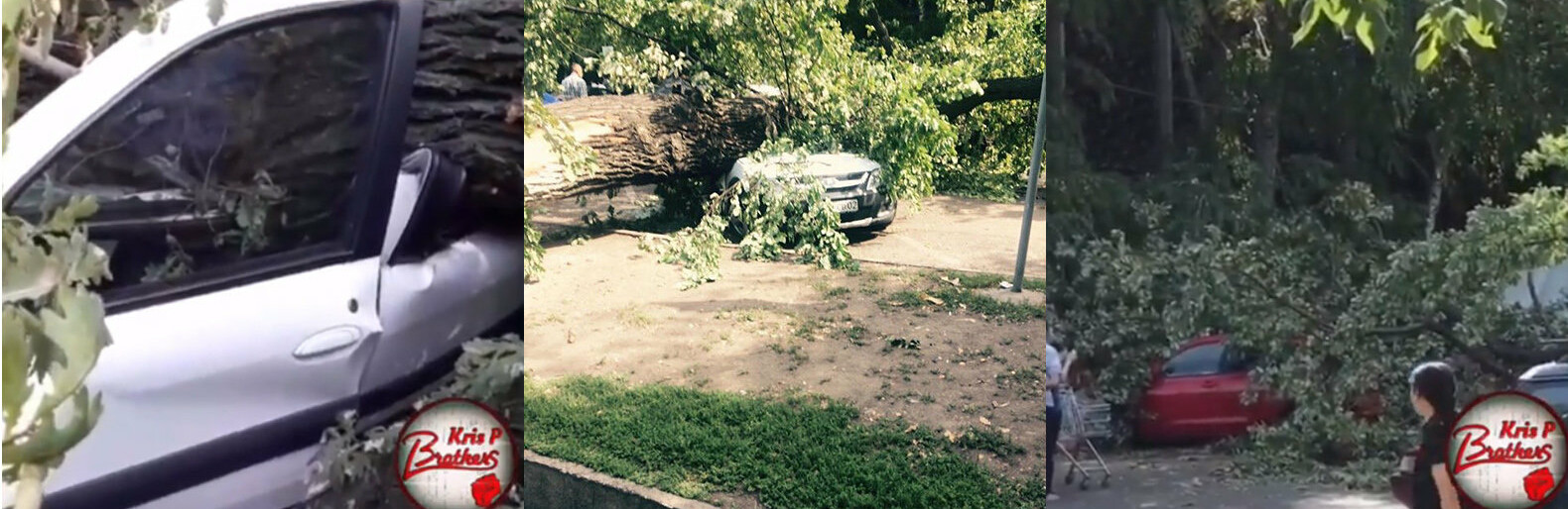  ����������� ������ ��� ������ ����������� ������� 