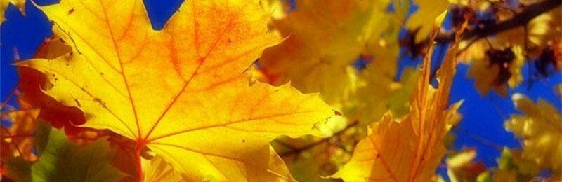 ����: inalmaty.kz