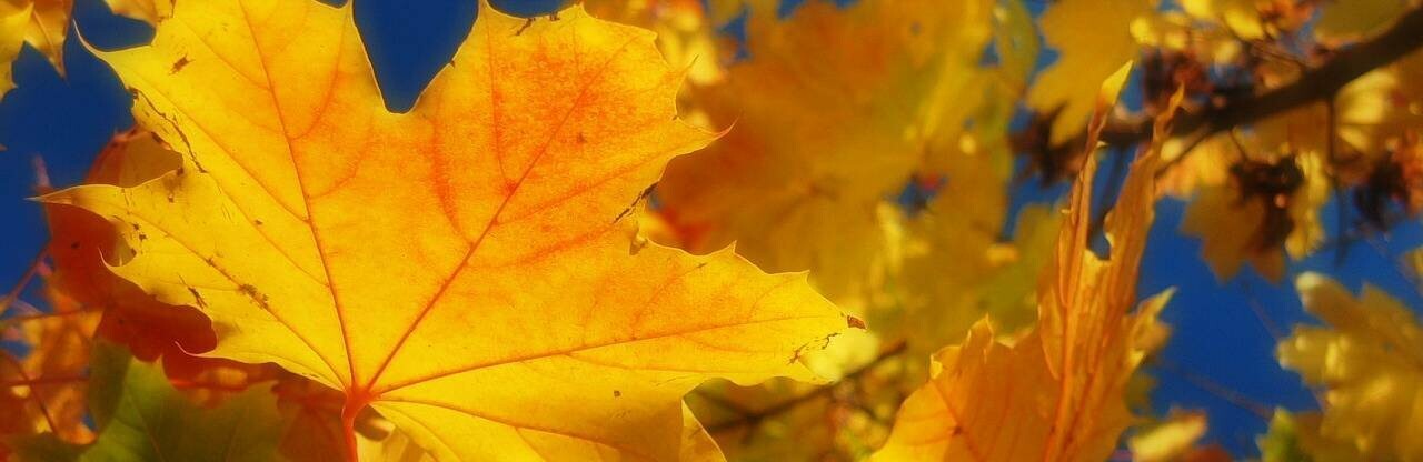 ����: inalmaty.kz