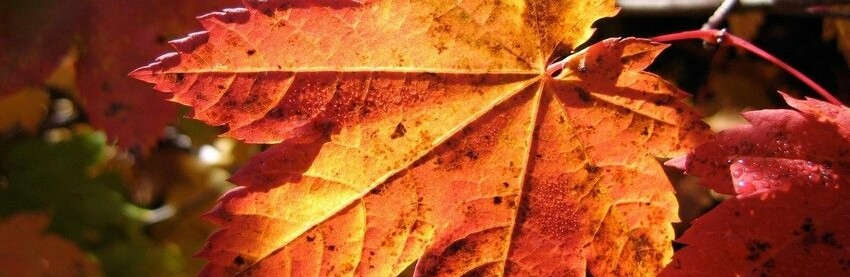 ����: inalmaty.kz