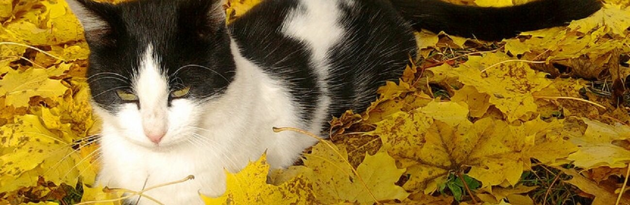 ����: inalmaty.kz