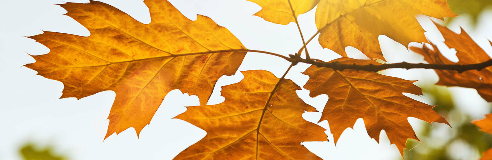 ����: inalmaty.kz