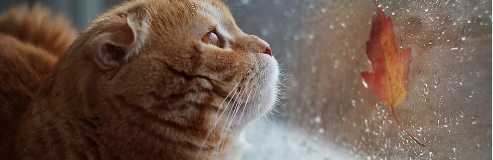 �� ����� ������ ������ ������ ����� � ������