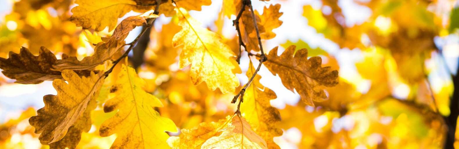 ����: inalmaty.kz