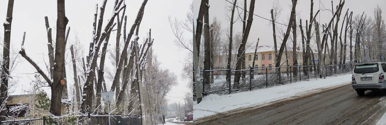 ����: inalmaty.kz