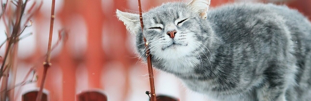 ����: inalmaty.kz