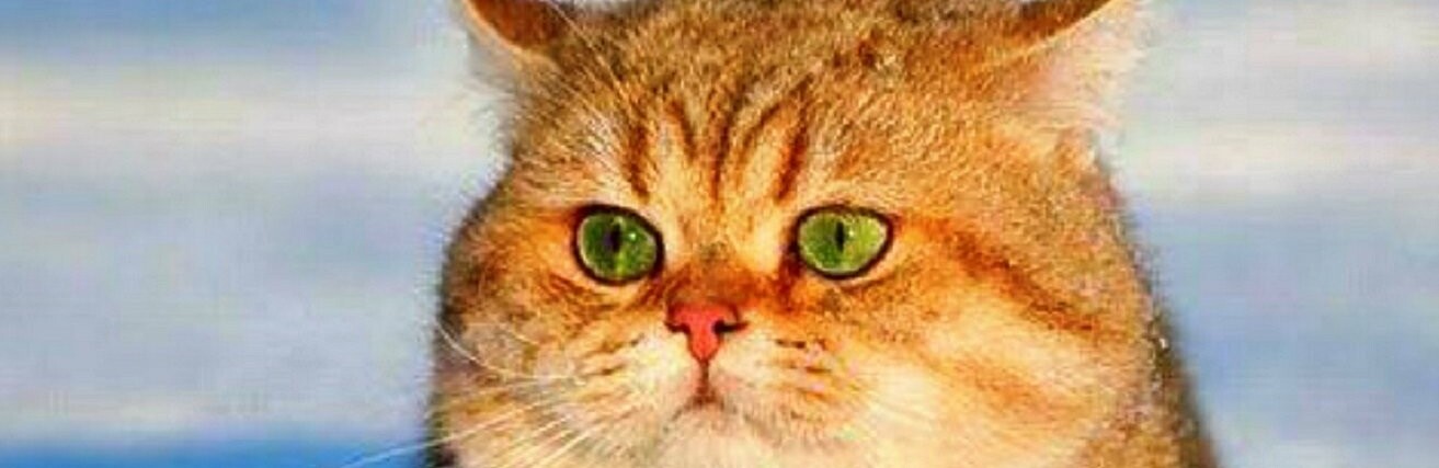 ����: inalmaty.kz