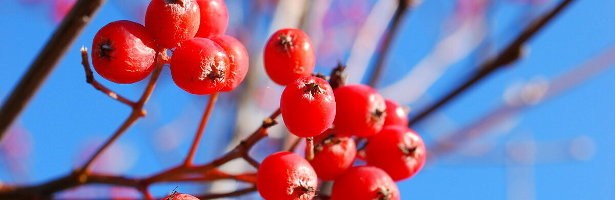 ����: inalmaty.kz