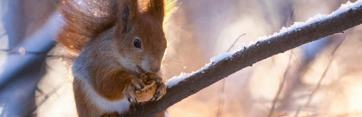 ����: inalmaty.kz