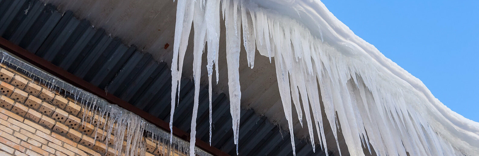  ������� �������� ���� ����� ������ 