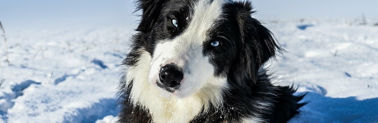 ����: inalmaty.kz