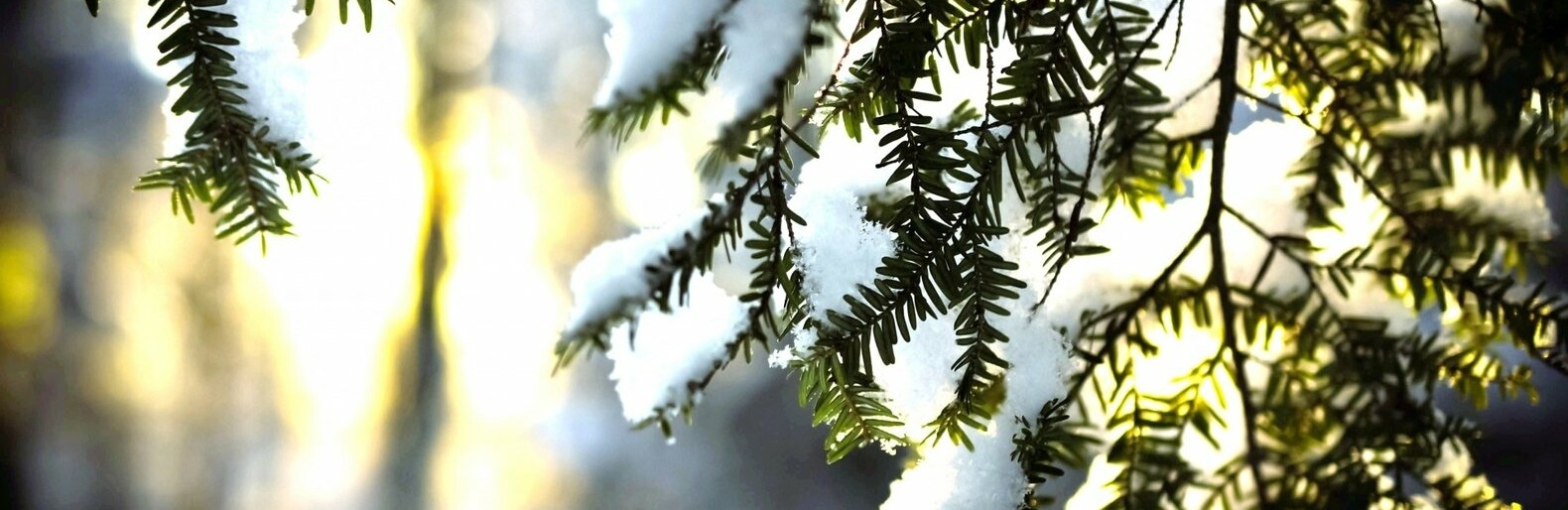 ����: inalmaty.kz