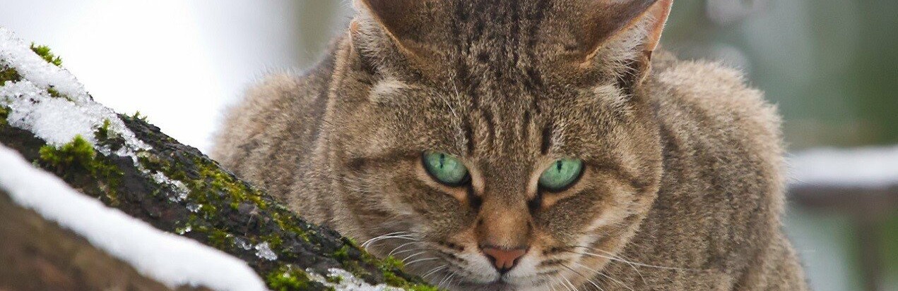 ����: inalmaty.kz