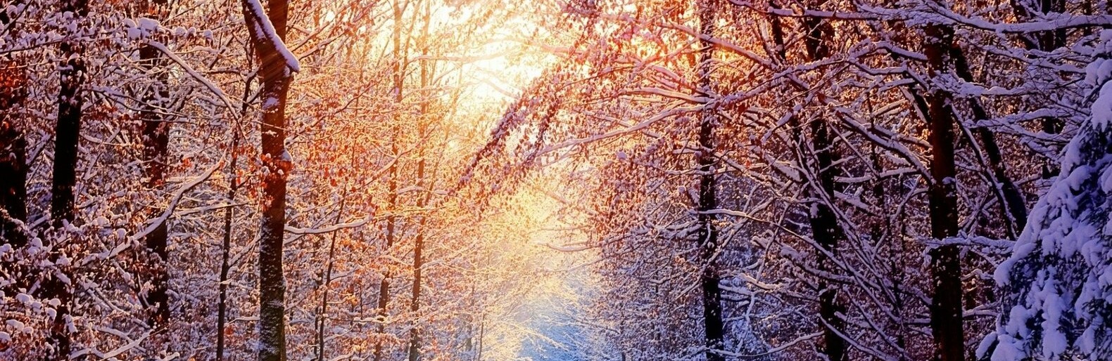 ����: inalmaty.kz