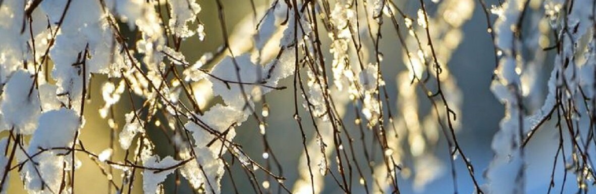 ����: inalmaty.kz