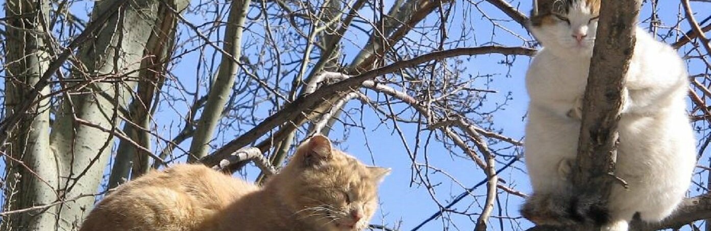 ����: inalmaty.kz