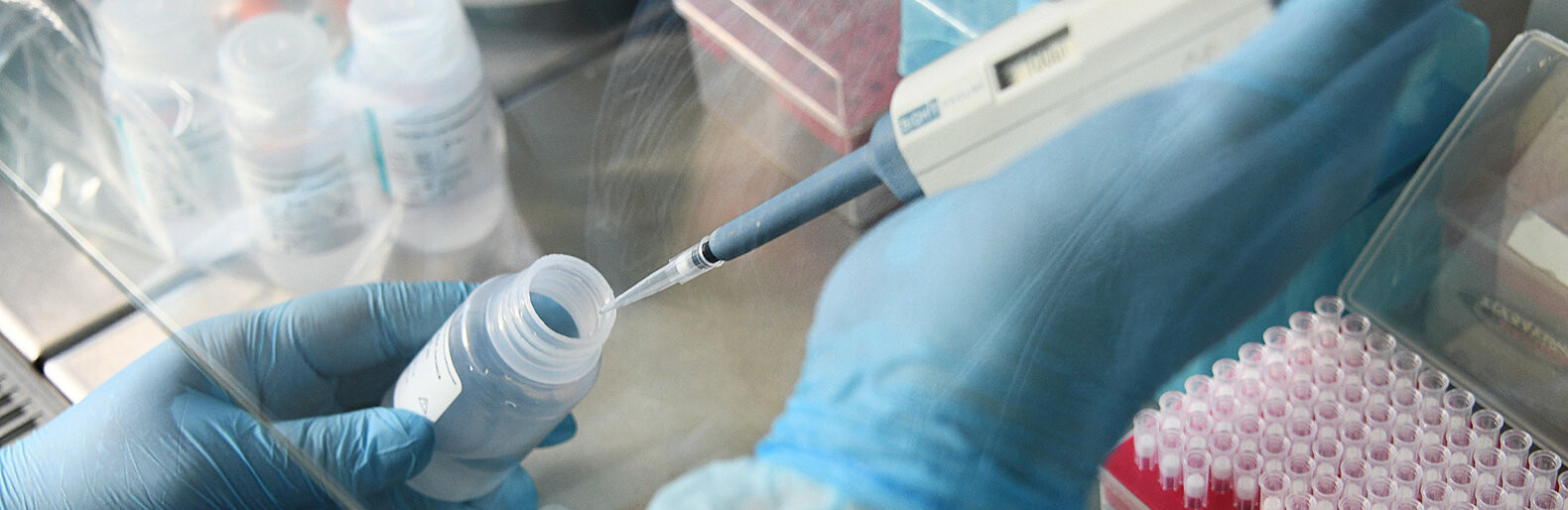 ����: inalmaty.kz