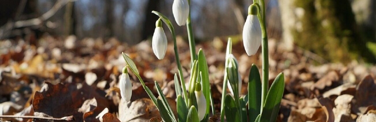 ����: inalmaty.kz