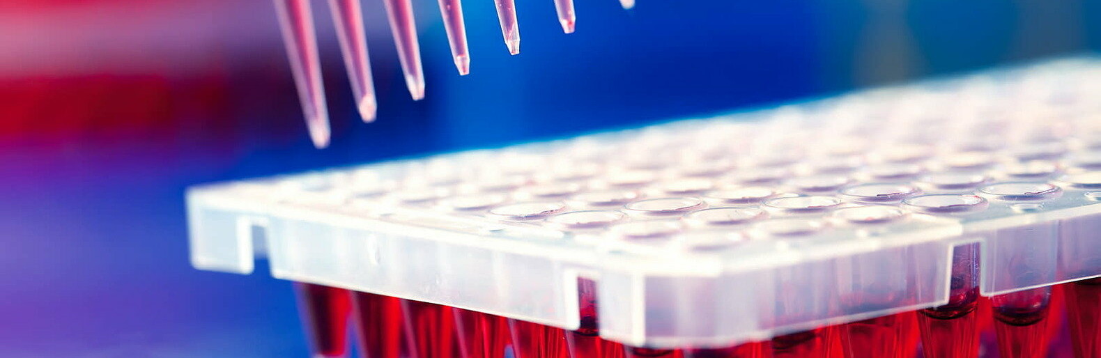  ��������� ������������ ������� ��������-������ ��������� �������� 