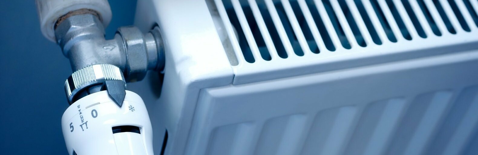 ����: inalmaty.kz