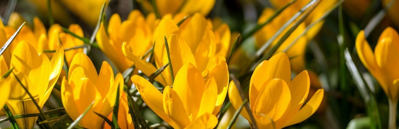 ����: inalmaty.kz