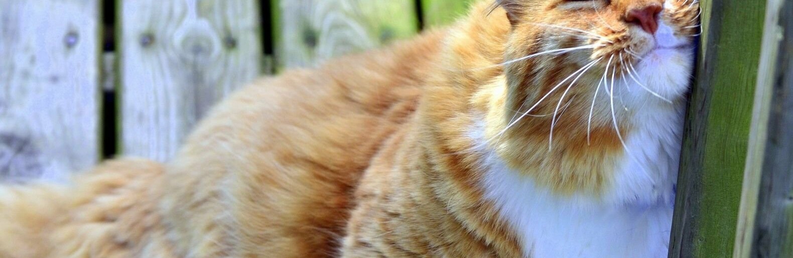 ����: inalmaty.kz