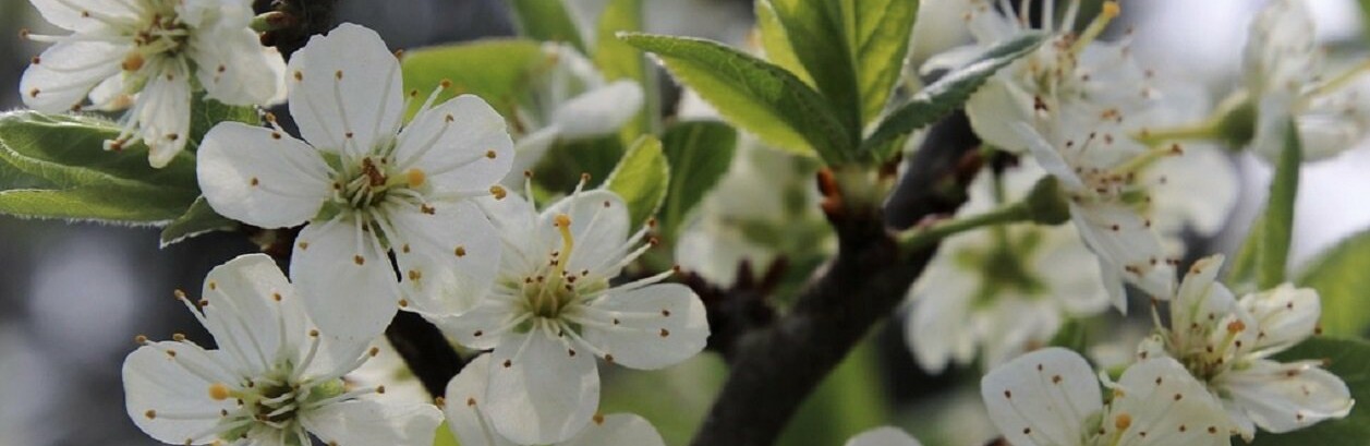 ����: inalmaty.kz