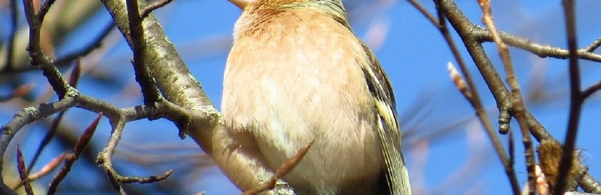 ����: inalmaty.kz