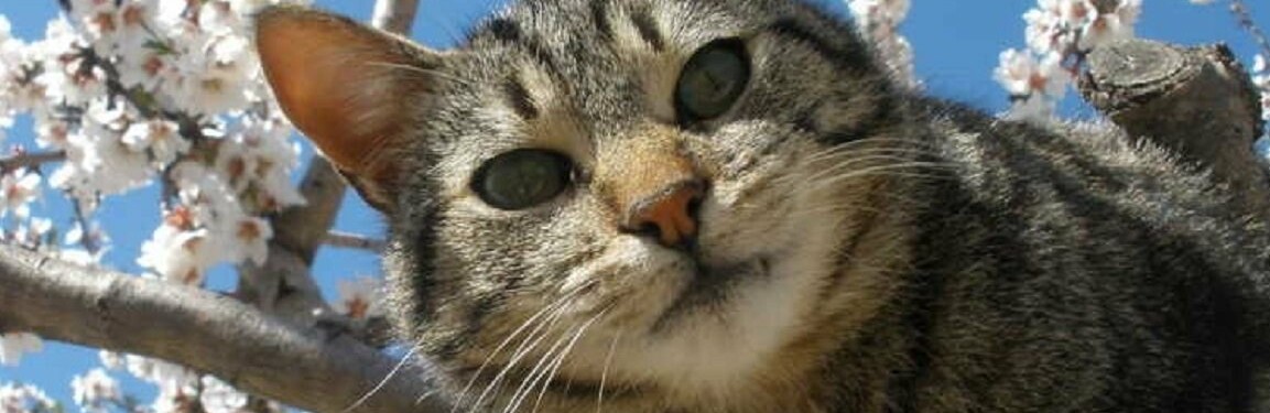 ����: inalmaty.kz