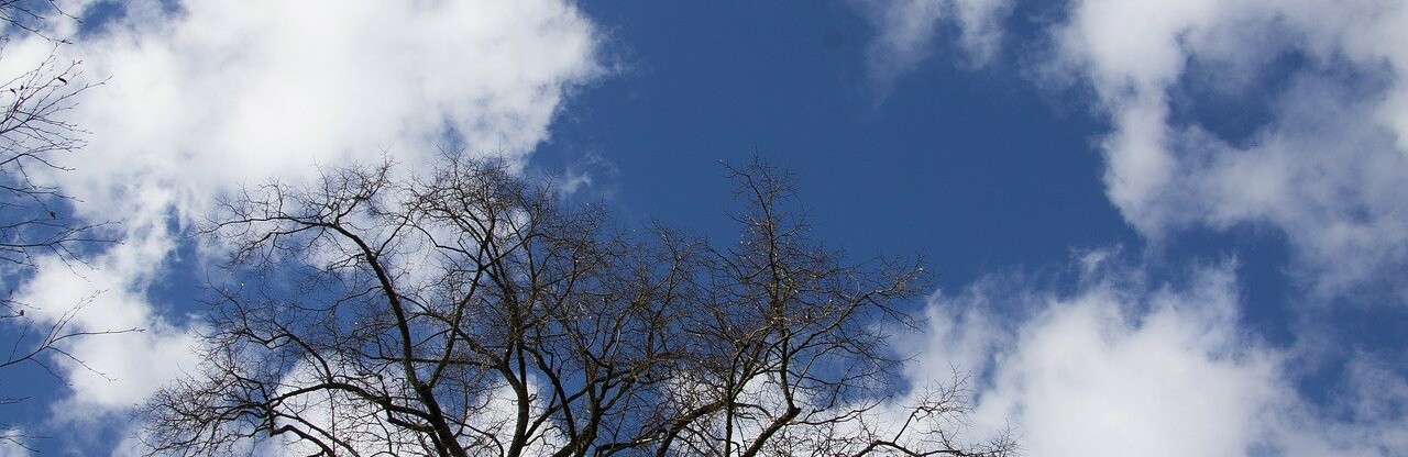 ����: inalmaty.kz