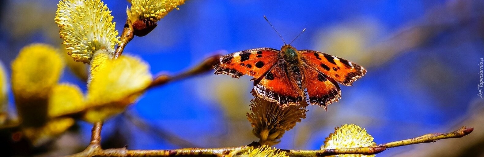 ����: inalmaty.kz