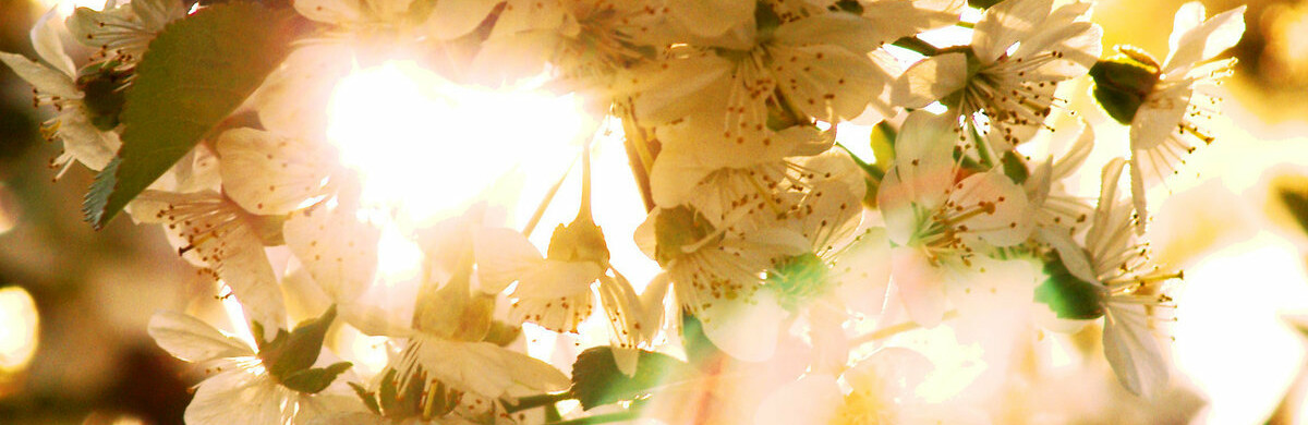 ����: inalmaty.kz