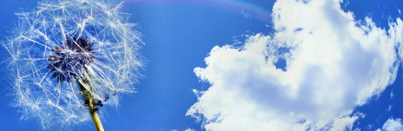 ����: inalmaty.kz