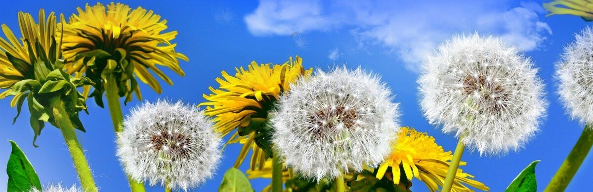 ����: inalmaty.kz