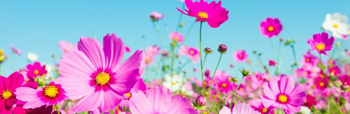 �� +32 �������� ����� � ������ ���� ���� � ������