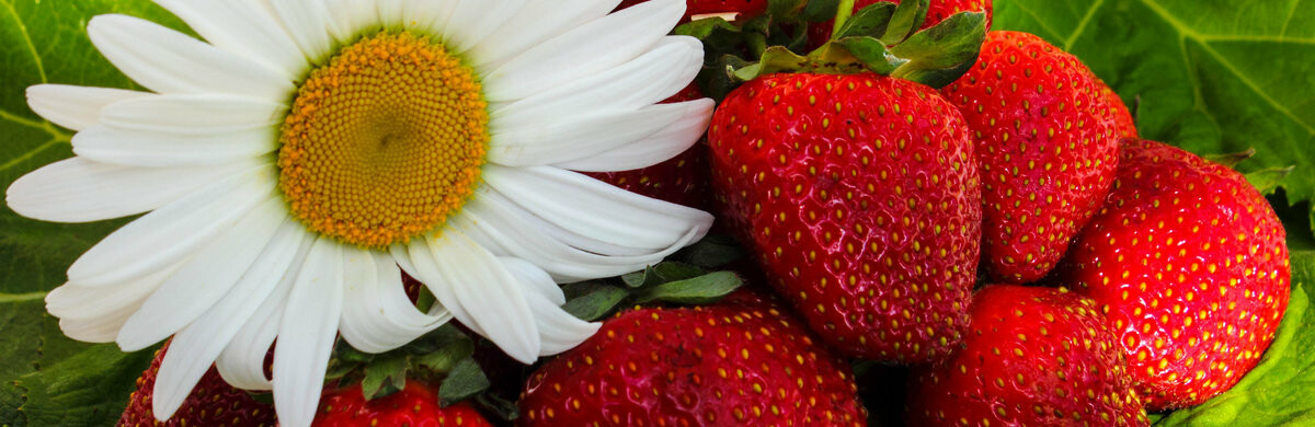 ����: inalmaty.kz