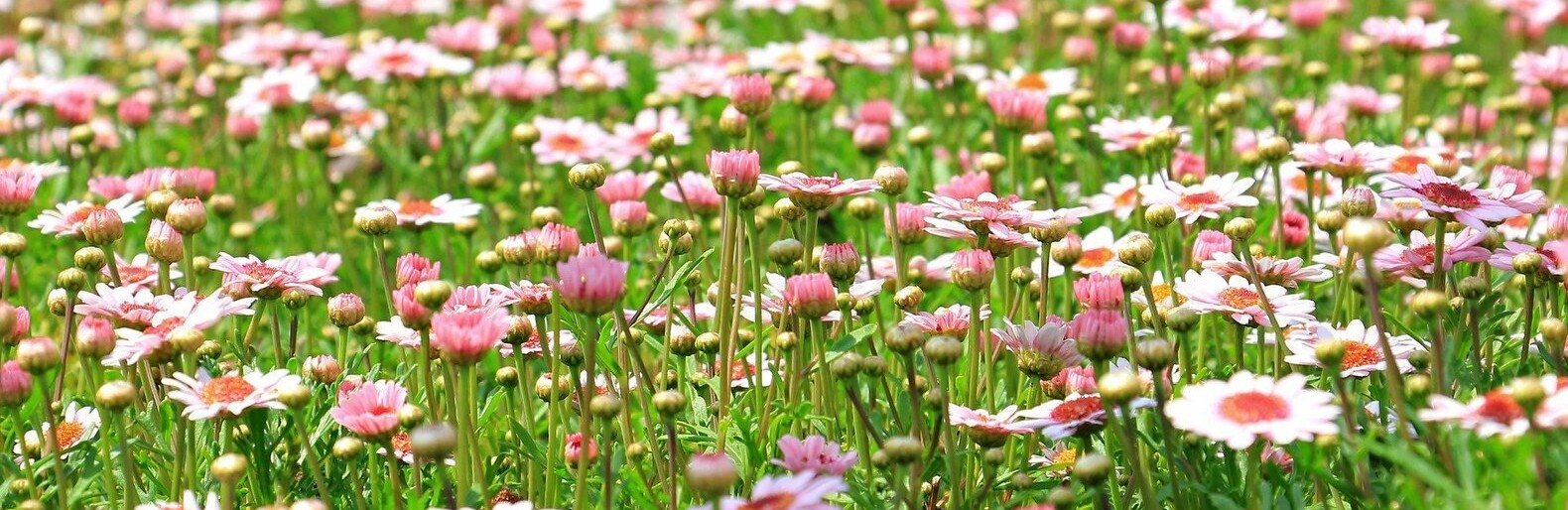 ����: inalmaty.kz