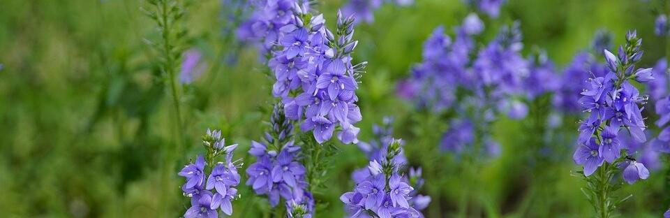 ����: inalmaty.kz