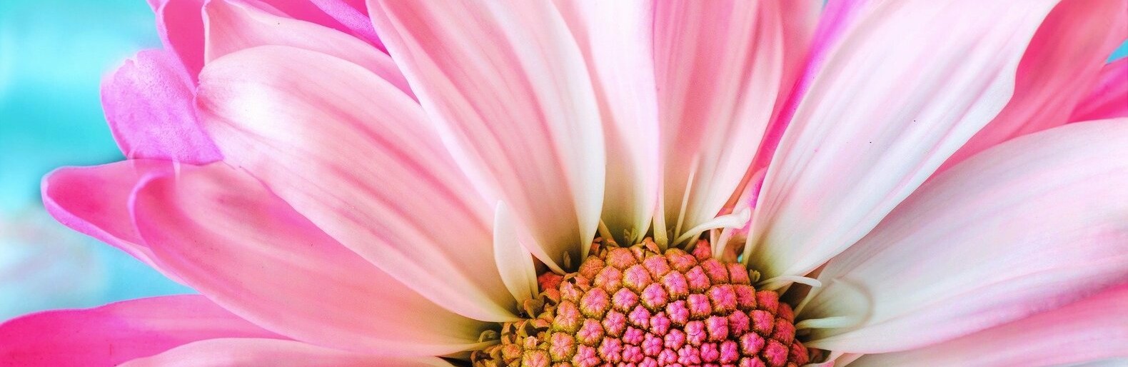 ����: inalmaty.kz