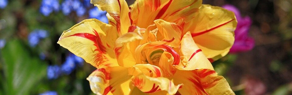 �� +33 �������� ����� 15 ���� � ������