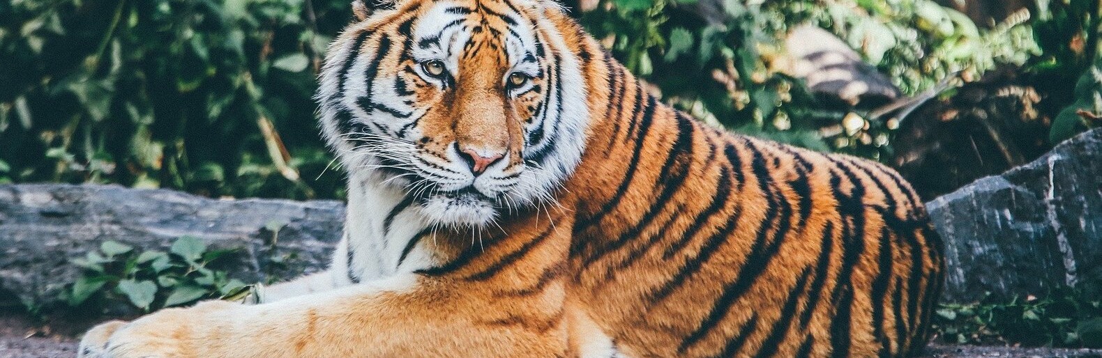 ����: inalmaty.kz