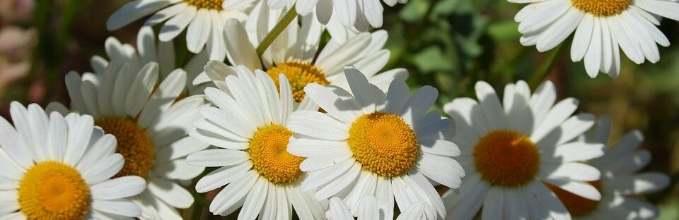 ����: inalmaty.kz