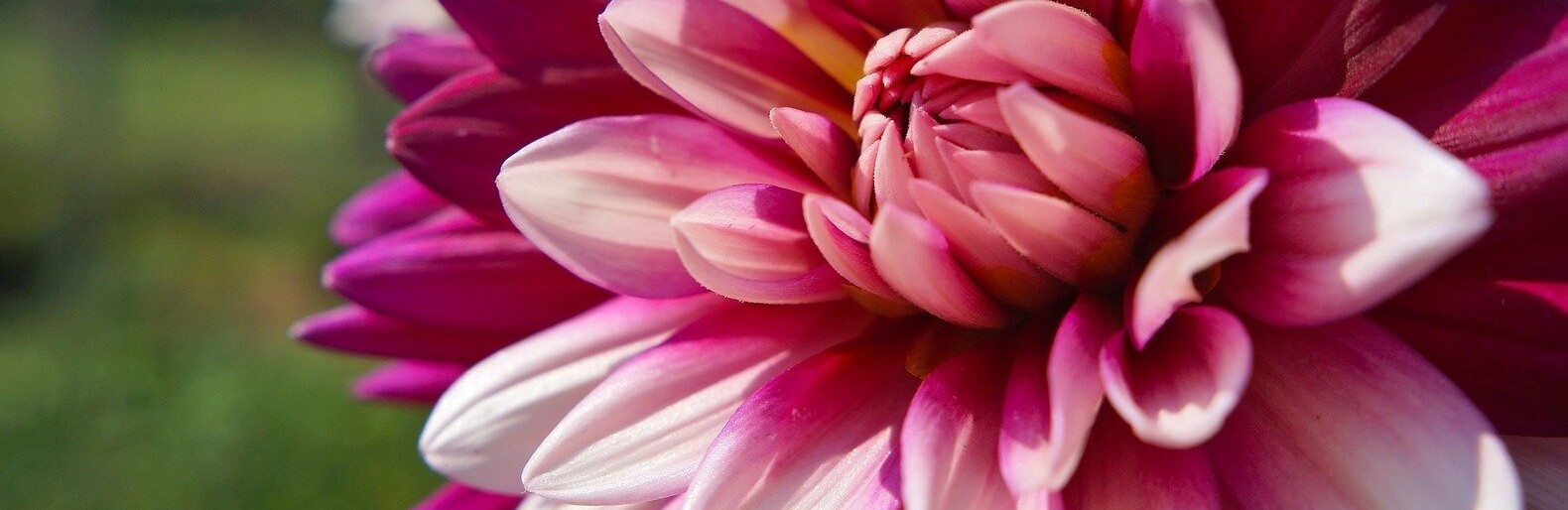 ����: inalmaty.kz