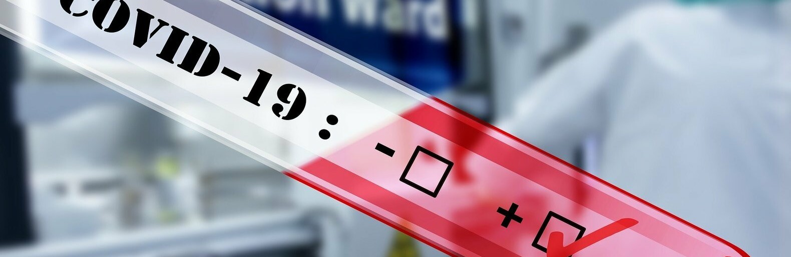  ����� ������ covid-19 ������ ������� ���������� ���������� 