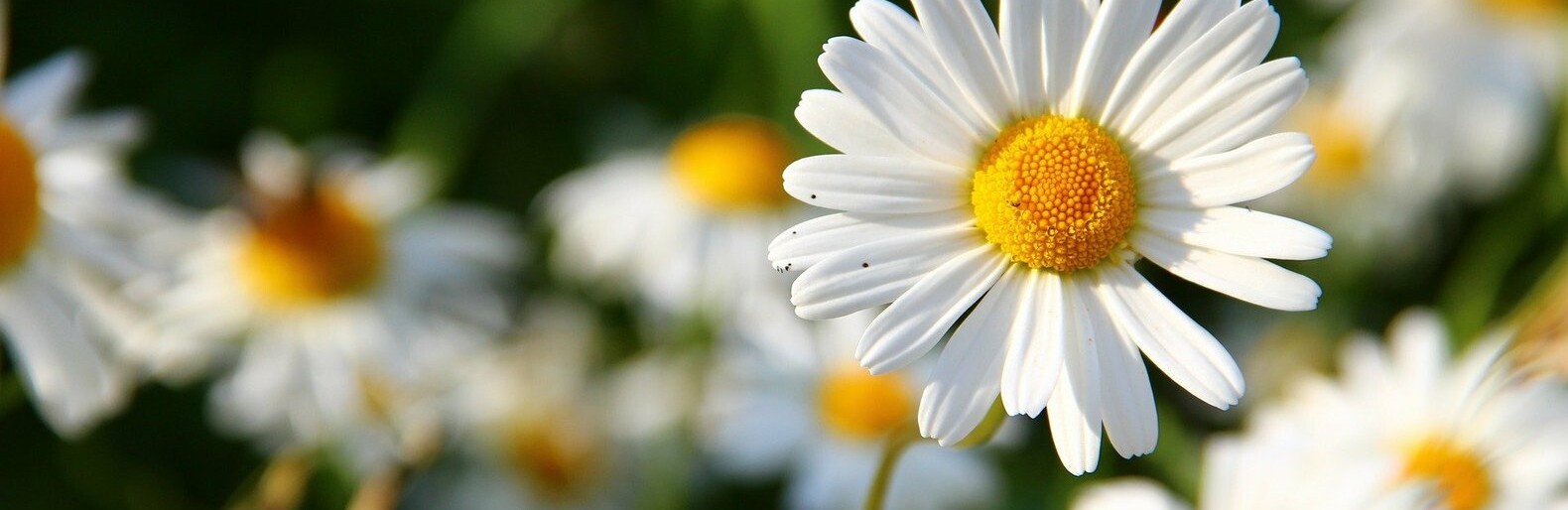 ����: inalmaty.kz