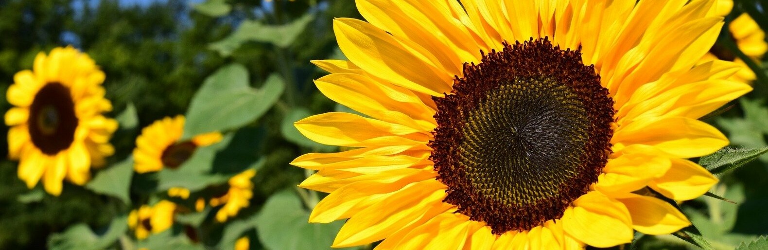 ����: inalmaty.kz